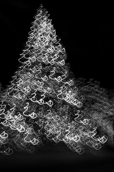 Jaynes Gallery 아티스트의 USA-Arizona-Buckeye-Black and white abstract motion of Christmas tree at night작품입니다.